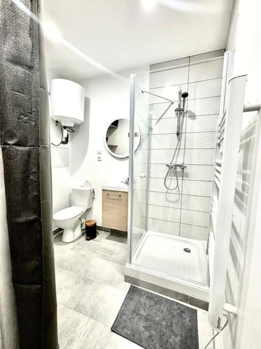 #Le Bicentenaire Apartman Saint-Etienne  Kültér fotó